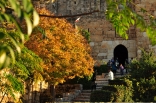 Byblos